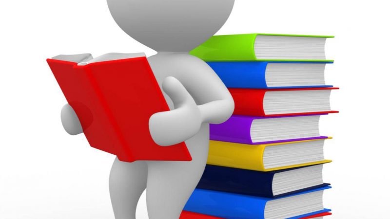 Bibliografia Leonardite